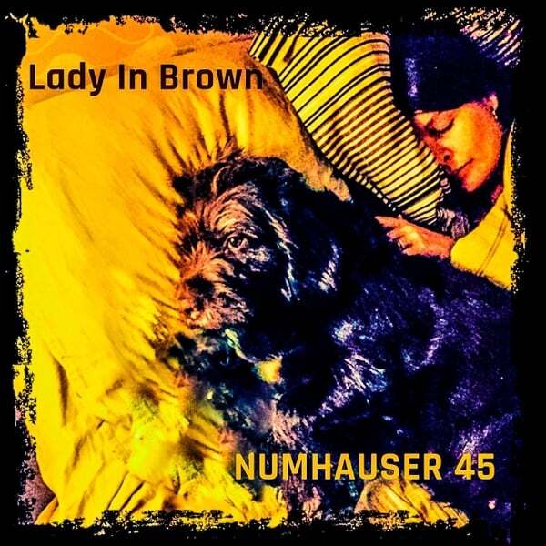 Cover art for Lady in Brown
